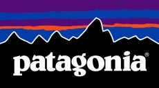 Patagonia logo