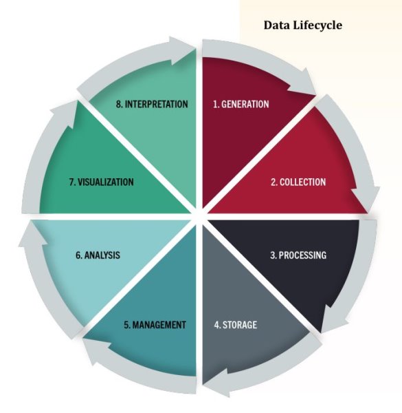 Data Ecosystem
